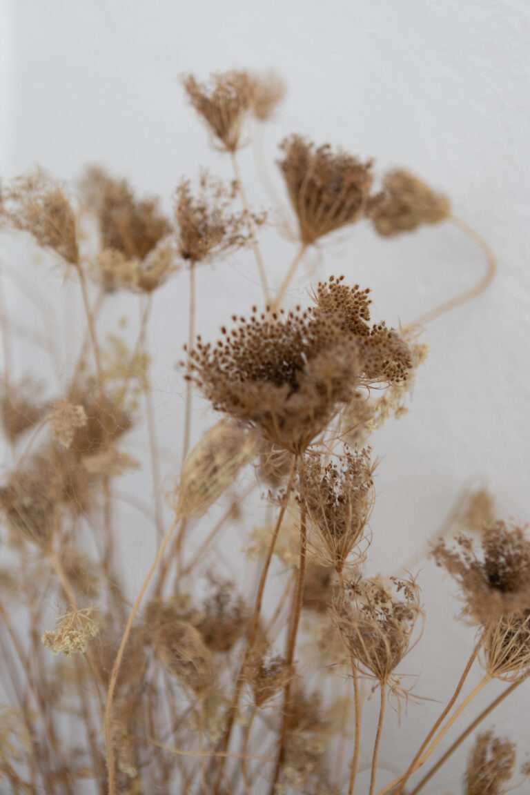 Mise en valeur d'un gite de charme en Normandie par la photographe Sophie K.